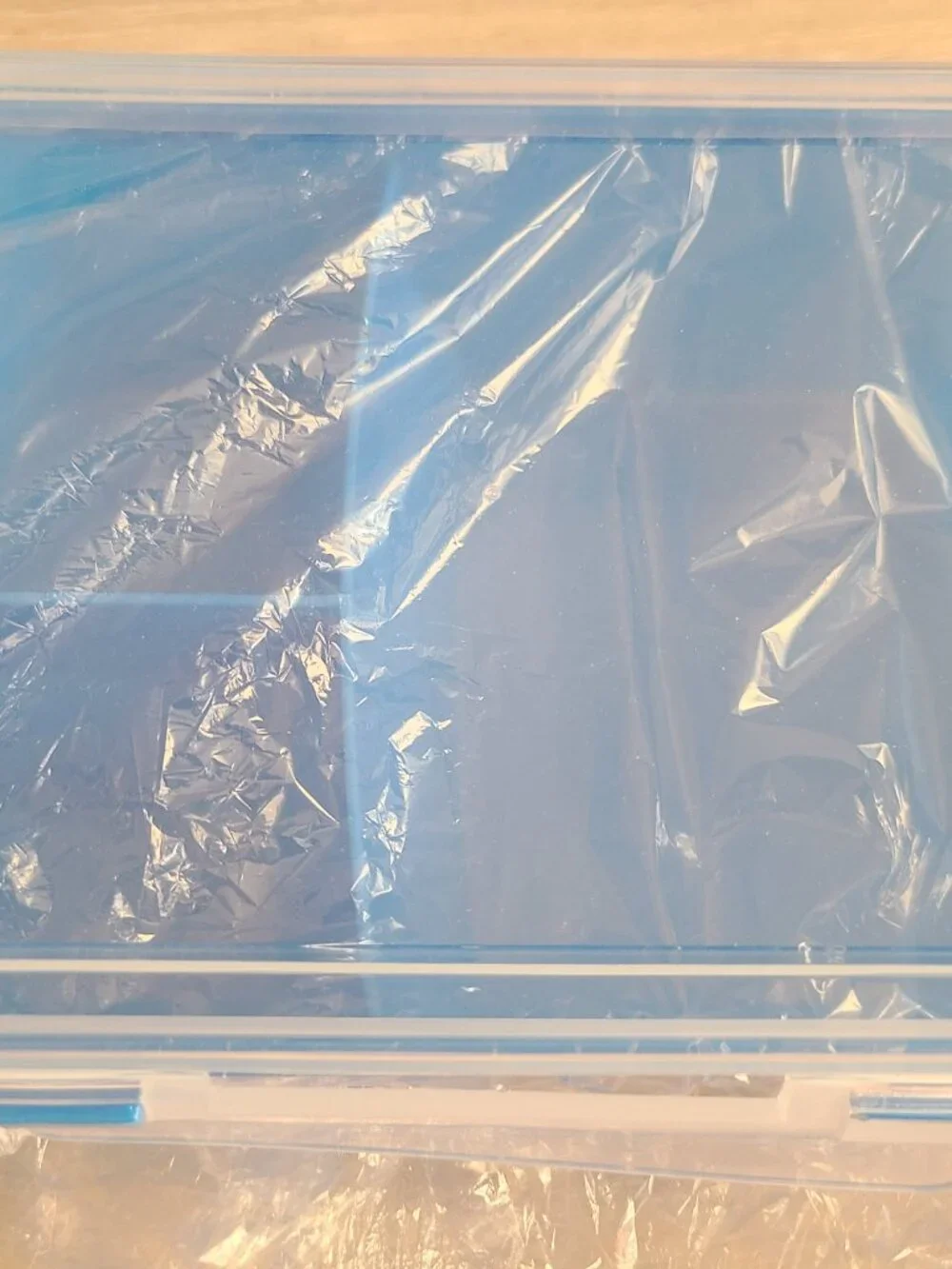Individual Food Container